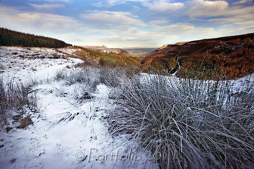 Glenariff glen 2451.jpg
